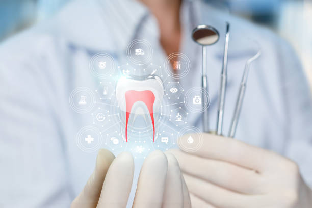 Best Dental Exams and Cleanings  in Kensington, MD